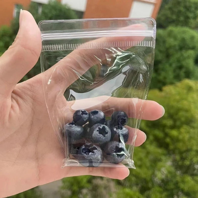 Blueberry Squishy Stress Relief Toy