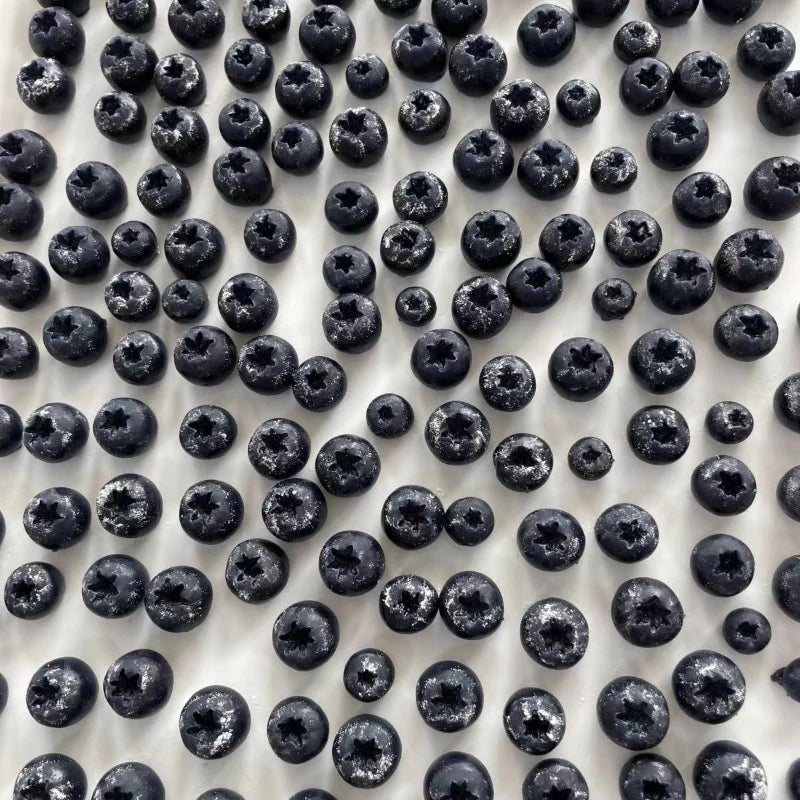 Blueberry Squishy Stress Relief Toy