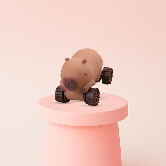 Capybara Car display box featuring pull back capybara toy cars with rolling wheels.