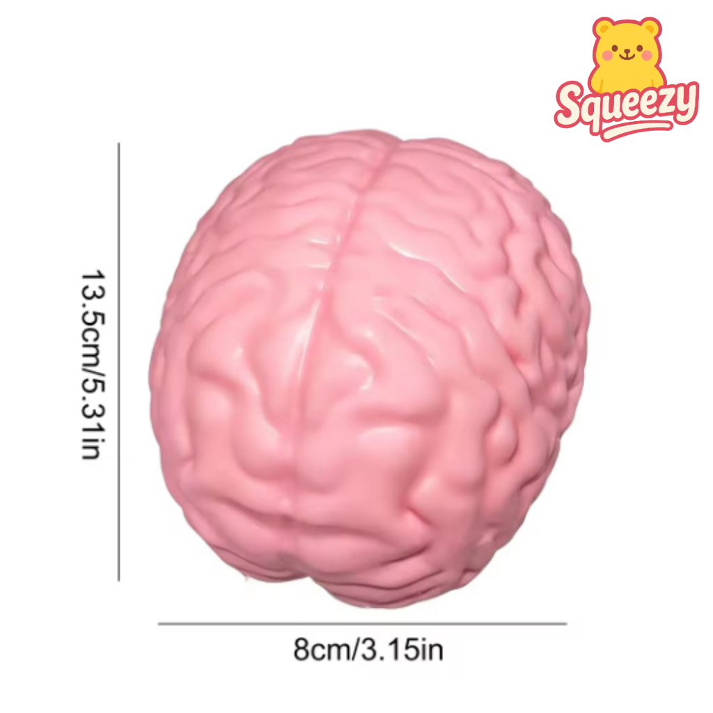 Huge Brain Squishy Stress Relief Toy Dimensions – Soft Slow Rising Brain Squishy 13.5 × 8 cm