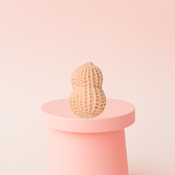Peanut Squishy Stress Relief Toy