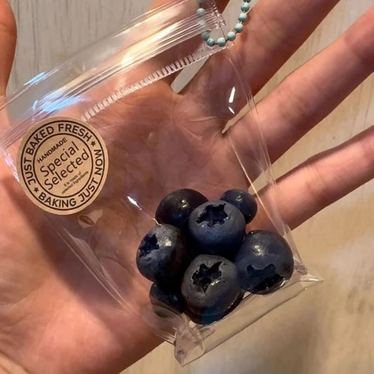 Blueberry Squishy Stress Relief Toy